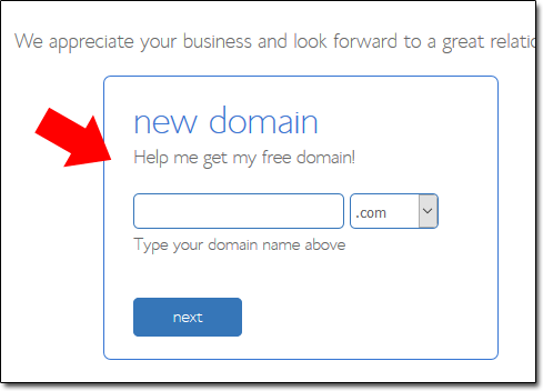Bluehost New Domain