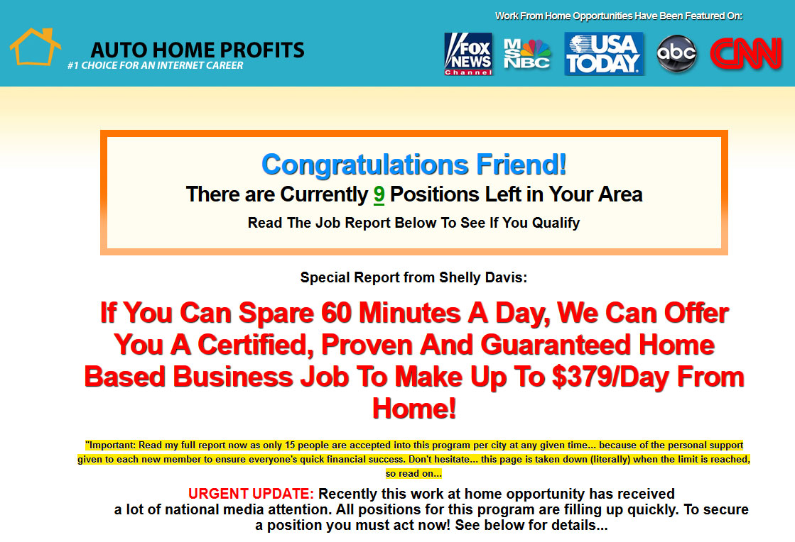 Screenshot of the Auto Home Profits Homepage