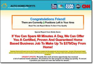 Thumbnail Screenshot of the Auto Home Profits Website