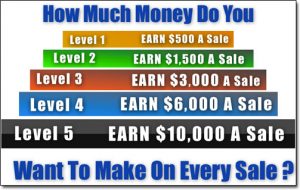 The Big Profit System Compensation Plan