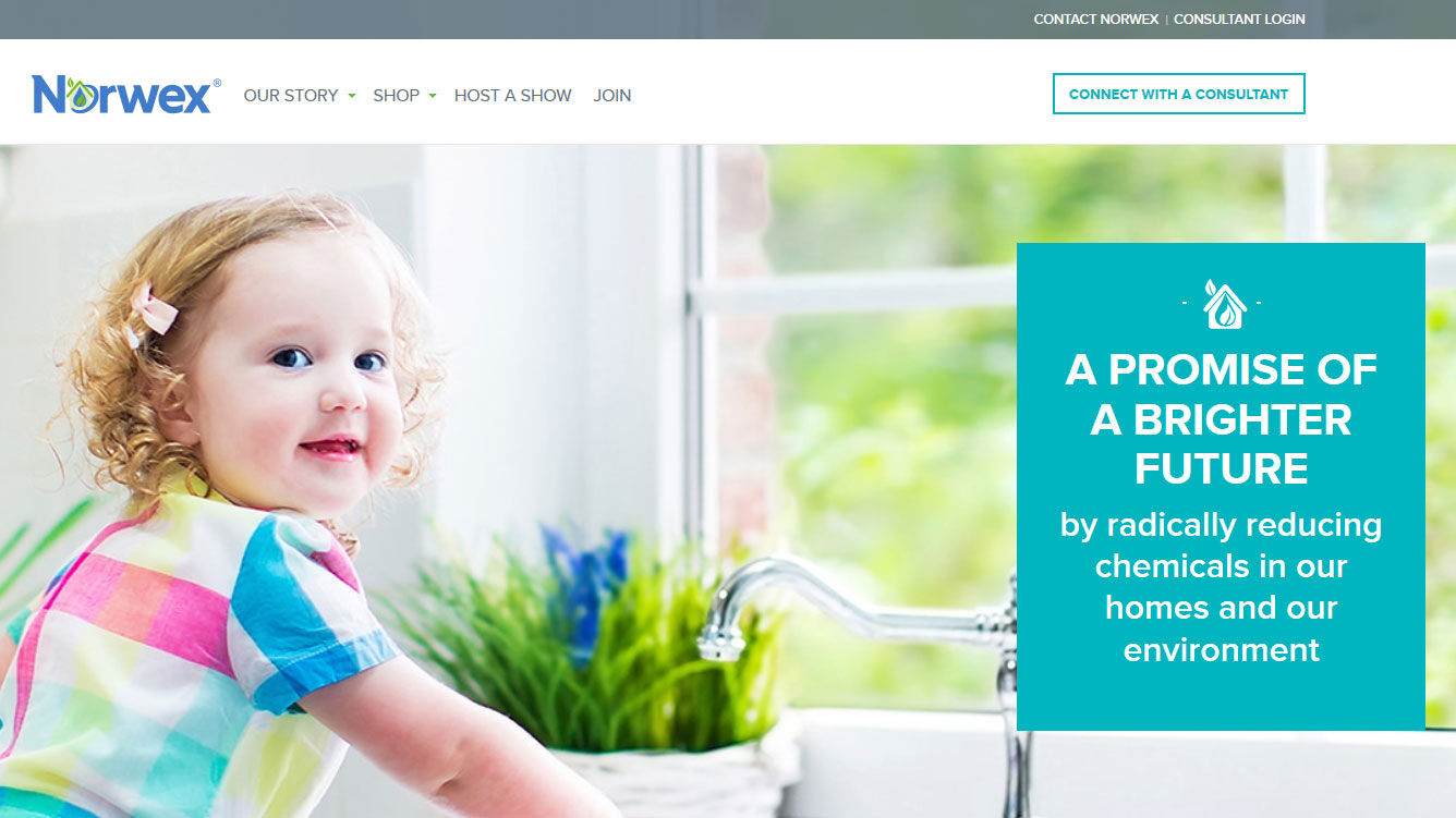 Screenshot of Norwex Homepage