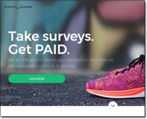 Survey Junkie Homepage