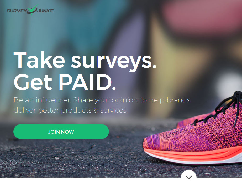 Survey Junkie Homepage Screenshot