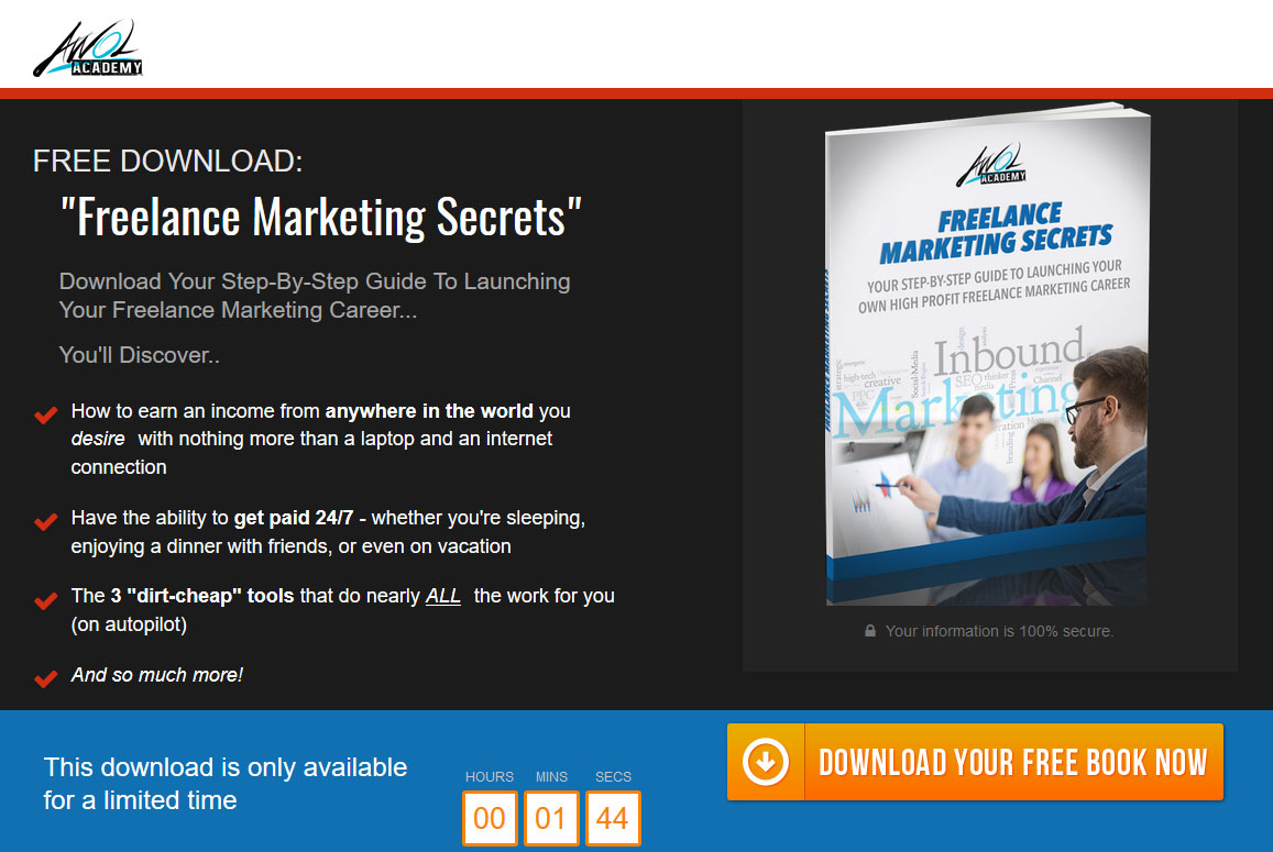 Freelance Marketing Secrets Homepage
