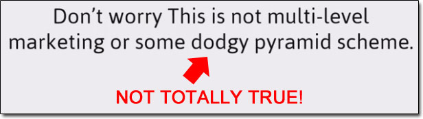 Online Millionaire System False Claims