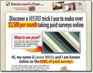 Take Surveys For Cash Website Screenshot