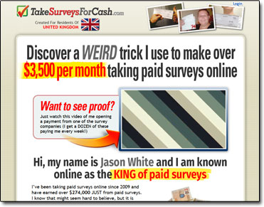 Take Surveys For Cash Website Screenshot