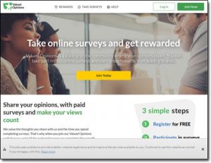 Valued Opinions Surveys Website Screenshot