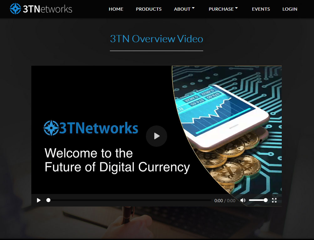 3T Networks Website Screenshot