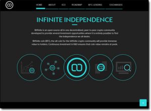 Bitfinite Website Screenshot