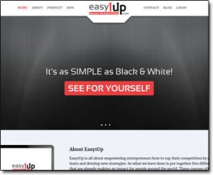 Easy 1 Up Website Screenshot