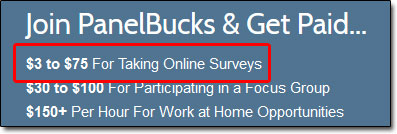 Panel Bucks Survey Earnings