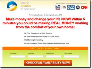 Simple Income Strategies Website Screenshot