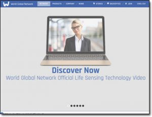 World Global Network Website Screenshot