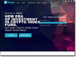 Trident Crypto Fund Website Screenshot