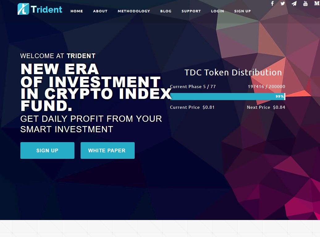 Trident Crypto Fund Website Screenshot