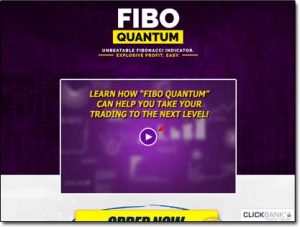 Fibo Quantum Software Website Screenshot