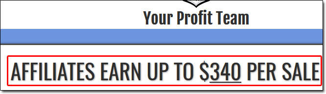 Your Profit Team Affiliate Page