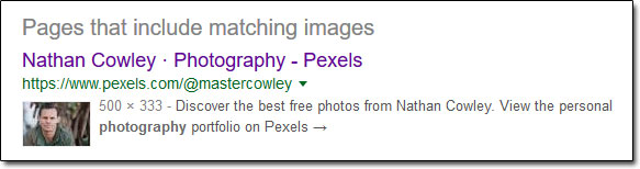 Reverse Image Search Results