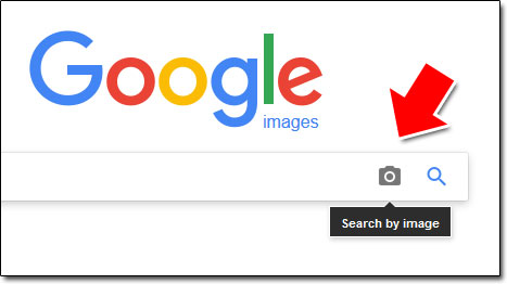 Google Reverse Image Search Tool