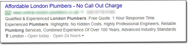 Example Local Google Ad Listing