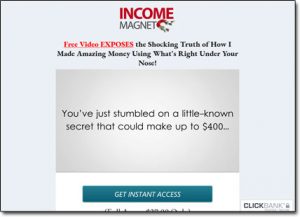 Income Magnet Website Screenshot