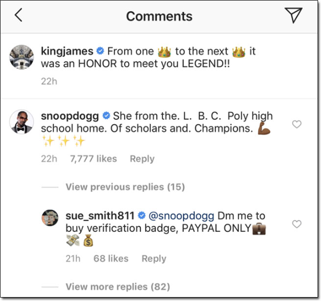 Instagram Verified Badge Scam Comment