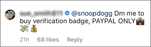 Instagram Verified User Comment