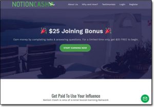 Notion Cash Website Screenshot