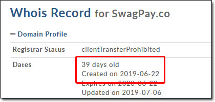 SwagPay Domain Age