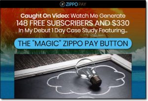 Zippo Pay Website Screenshot