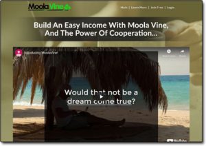 Moola Vine Website Screenshot