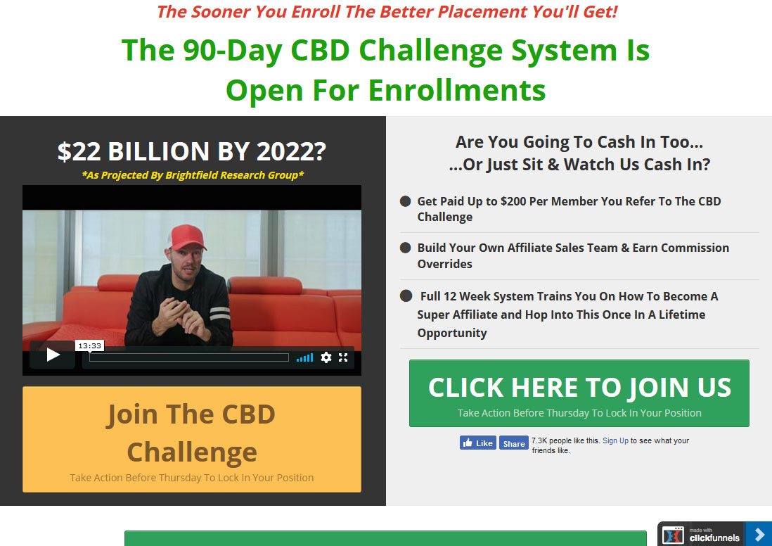 90 Day CBD Challenge Website Screenshot