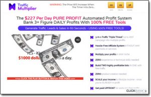 Traffic Multiplier System Website Screenshot