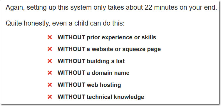 22 Minute Profit Plan Description