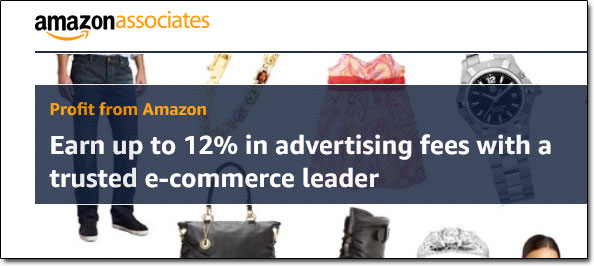 Amazon Associates Advertising Fees
