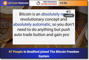 Bitcoin Freedom System Website Screenshot