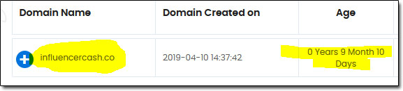 Influencer Cash Domain Age