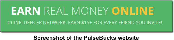 Income Claim Made By PulseBucks