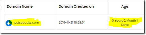 PulseBucks Domain Age