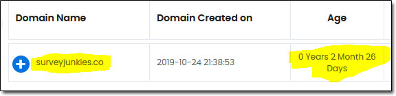 SurveyJunkies Domain Age