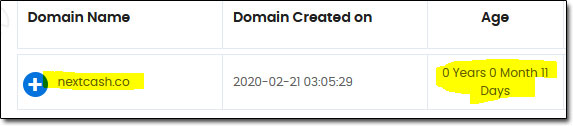 NextCash Domain Age