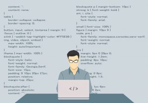 WordPress Programmer