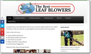 The Best Leaf Blowers Website Screenshot