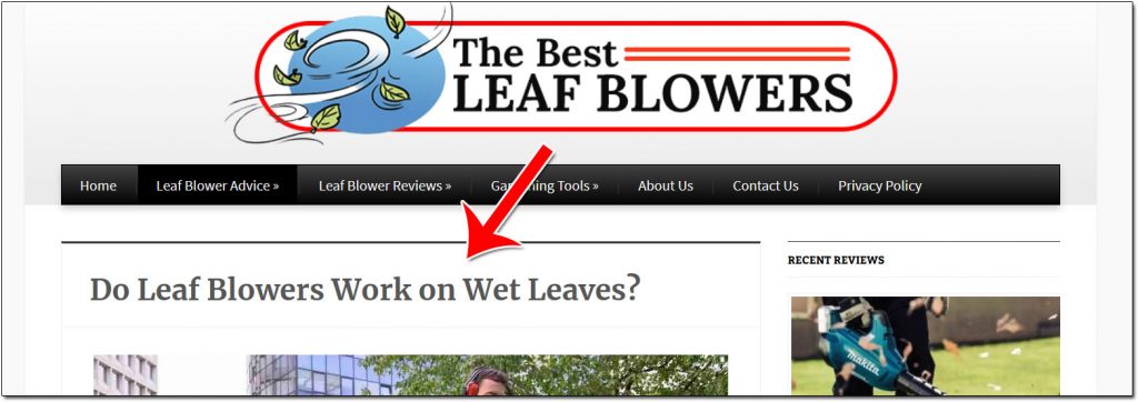 The Best Leaf Blowers Blog Post