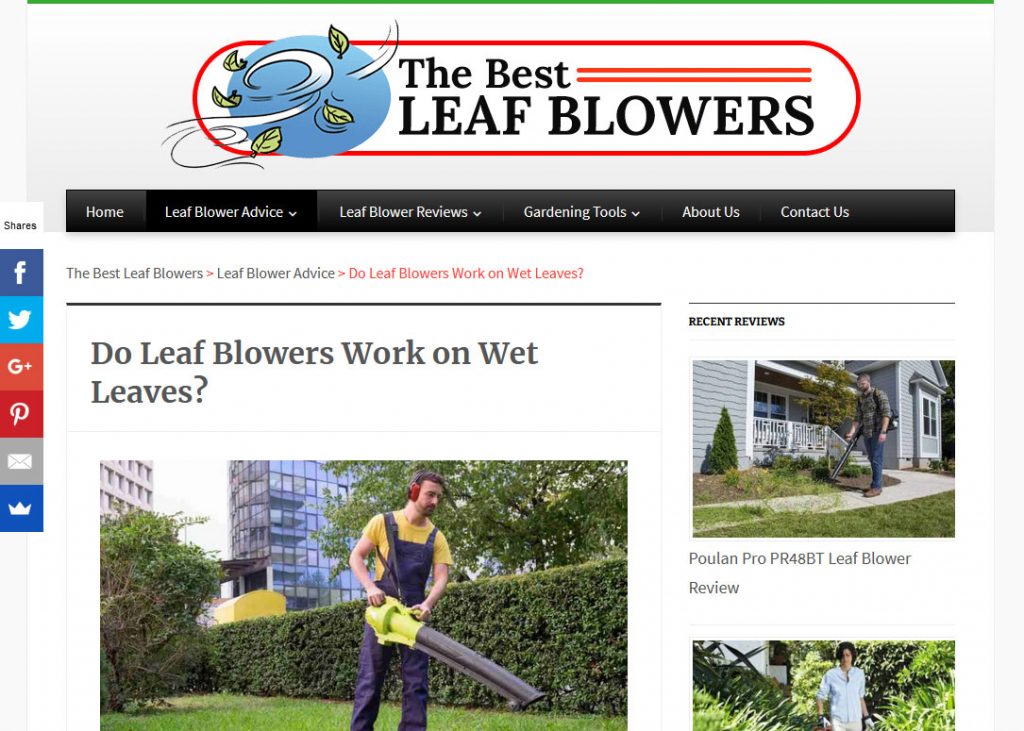 Leaf Blowers Niche Website