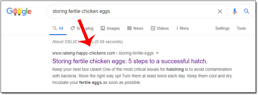 Google SERP Example